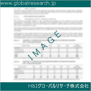 グローバルリサーチ調査資料のイメージ